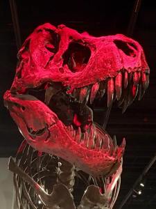 T-Rex Smithsonian